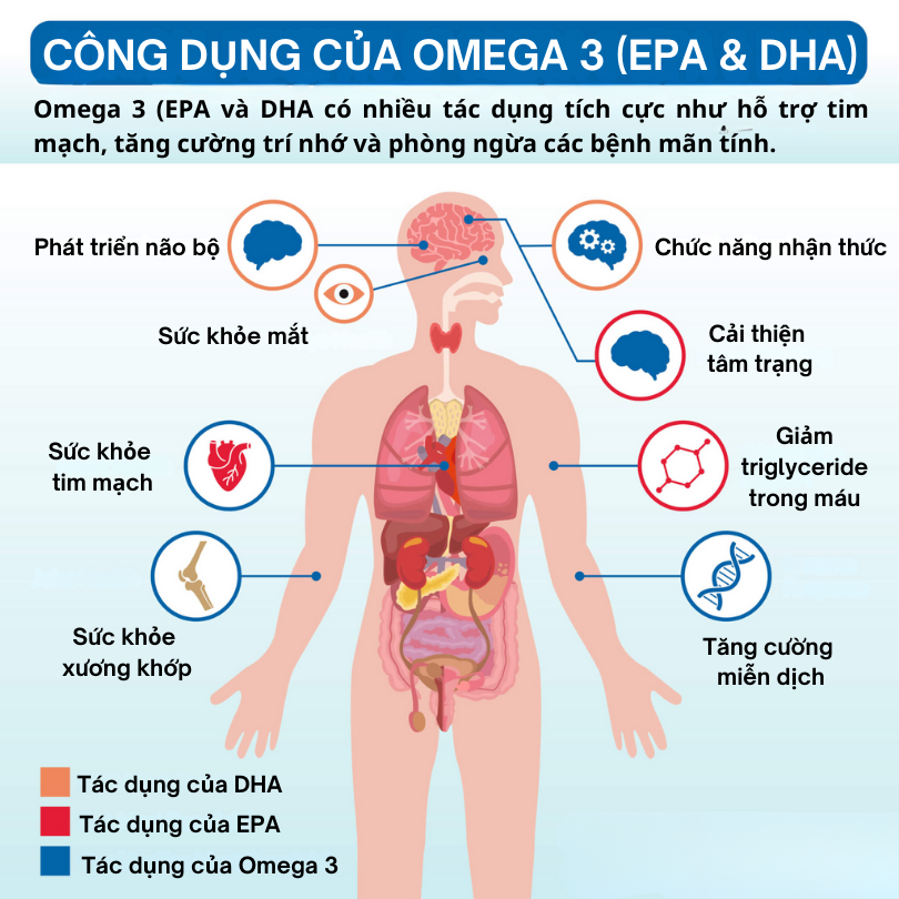 Tác dụng Của Omega 3 Đối Với Sức Khỏe