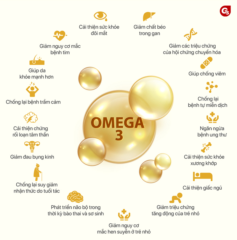 Omega 3 Là Gì?