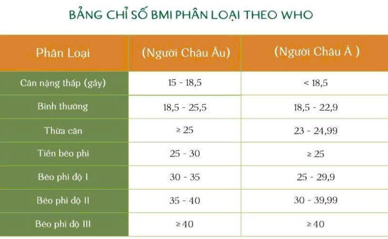 Phân bổ Chỉ Số BMI