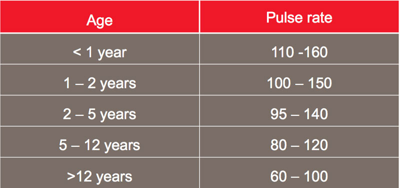 Nhịp độ bình thường ở trưởng thành