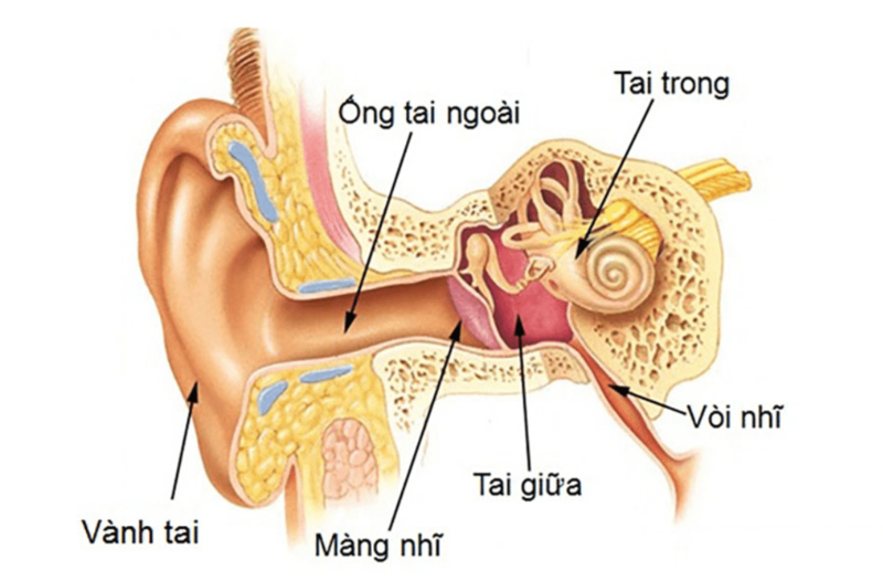 Nhồi tai giữa là gì?