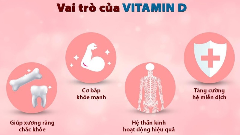 Vai Trò Của Vitamin D Đối Với Sức Khỏe