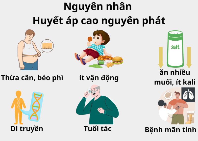 nguyên nhân gây áp lực cao