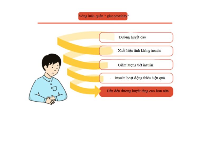 Insulin in base có thể sử dụng được