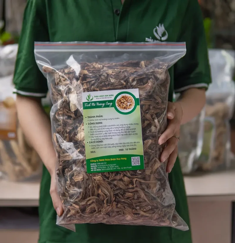 thành phần và tính chất của trinh nữ hoàng cung theo y học cổ truyền