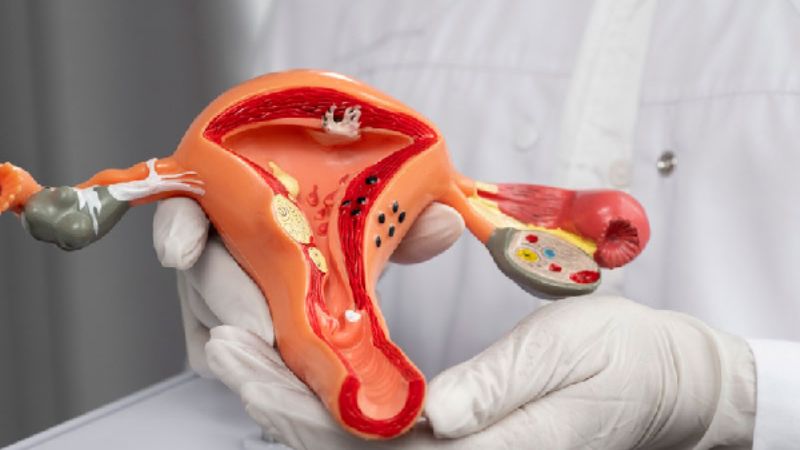 Dầu Mào Gà Có Nguy hiểm Không?