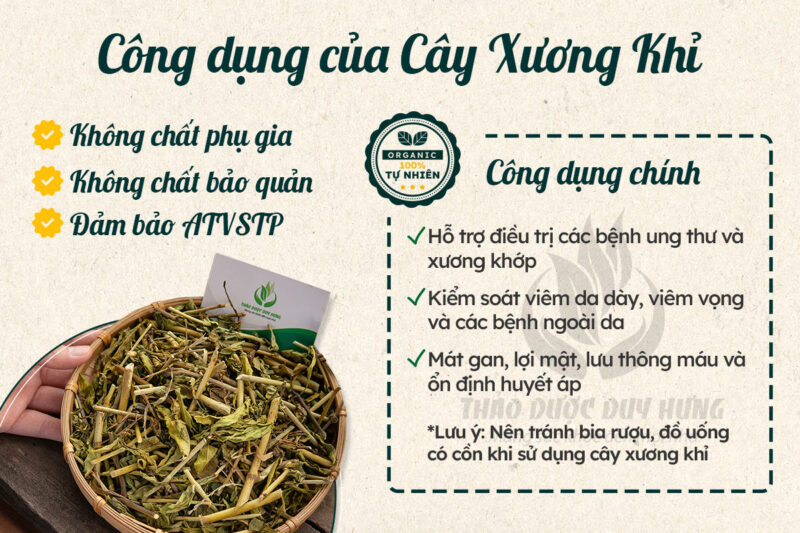 Cách Sử Dụng Cây Xương Võ