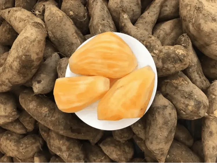 Thành phần dinh dưỡng của cây sâm đất