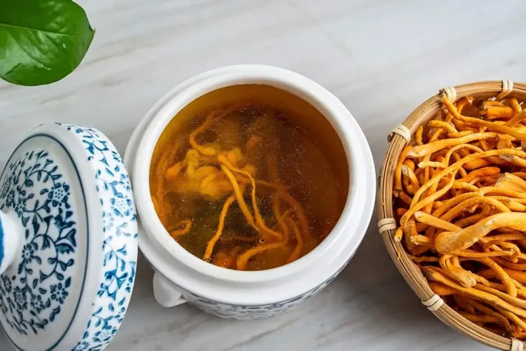 Công cụ của Đông Trùng Hạ Thảo