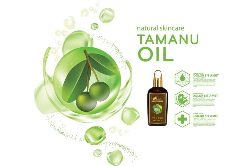 Công dụng của dầu mù u đối với lễ da