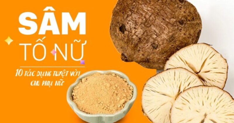 thành phần và đặc tính của rượu thuốc nữ