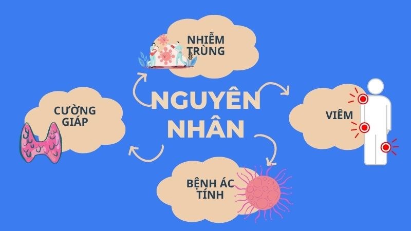 nguyên nhân gây sốt thường gặp