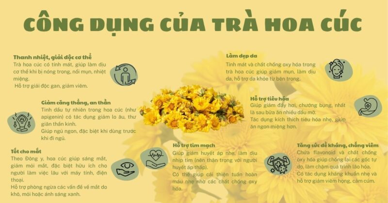 Công dụng của trà hoa cúc