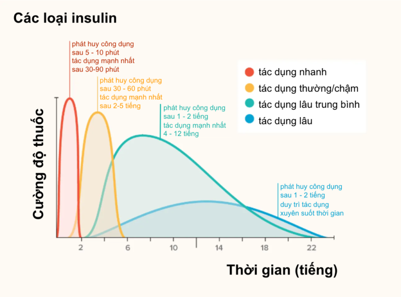 khi nào cần sử dụng insulin