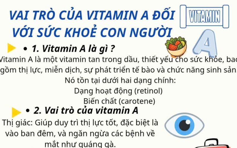 vai trò của vitamin A cho cơ thể