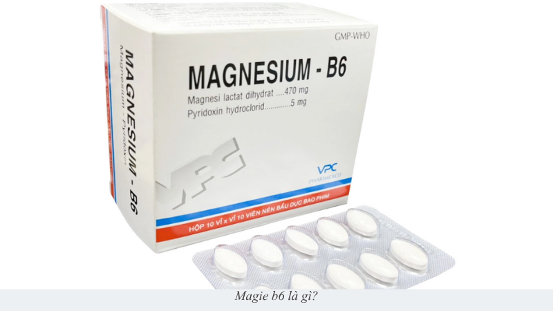 magie b6