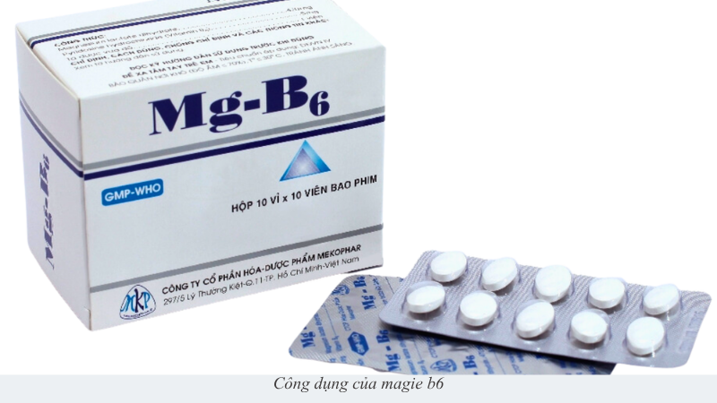 magie b6