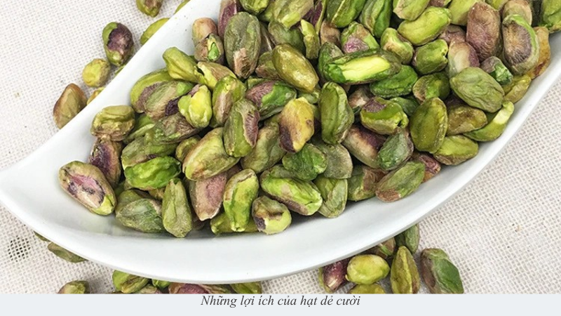 hạt dẻ cười