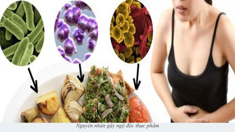 ngộ độc thực phẩm