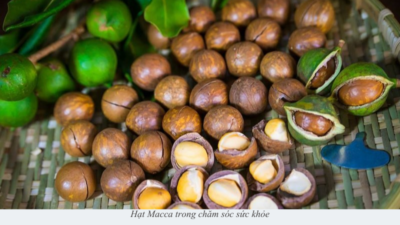hạt macca