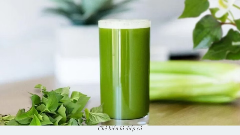 lá diếp cá
