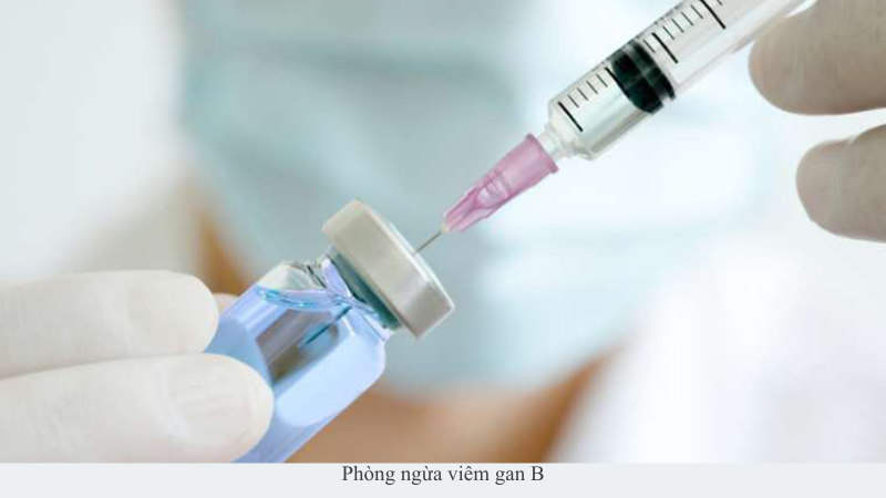 Viêm gan B