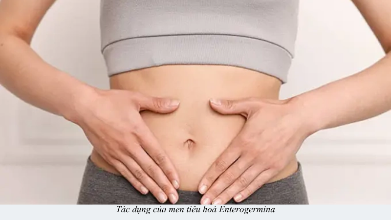men tiêu hoá enterogermina