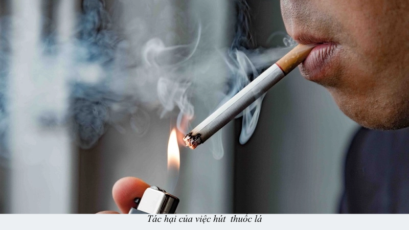 tác hại của thuốc lá