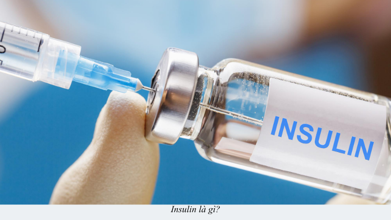 insulin là gì