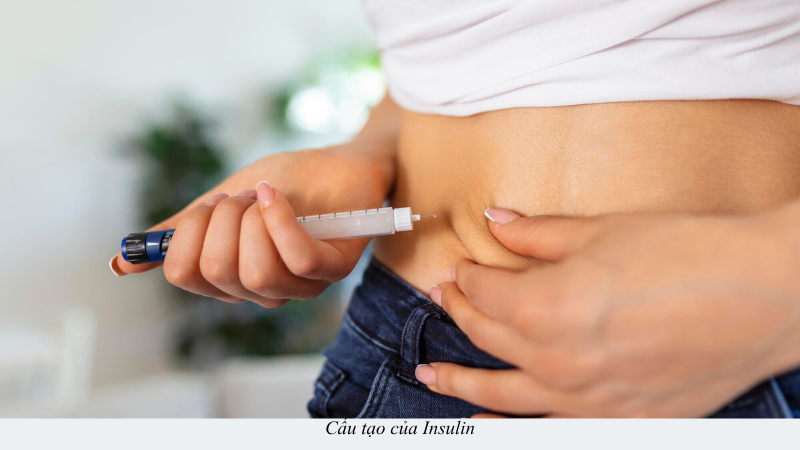 insulin là gì