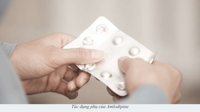 Amlodipine