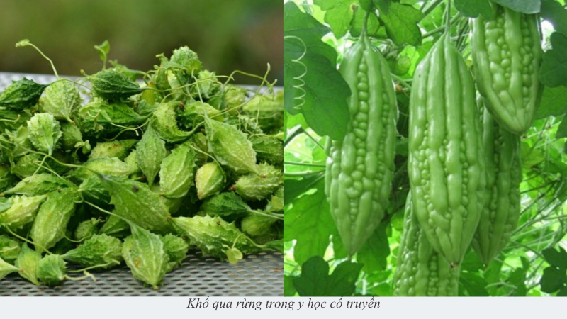 Khổ qua rừng