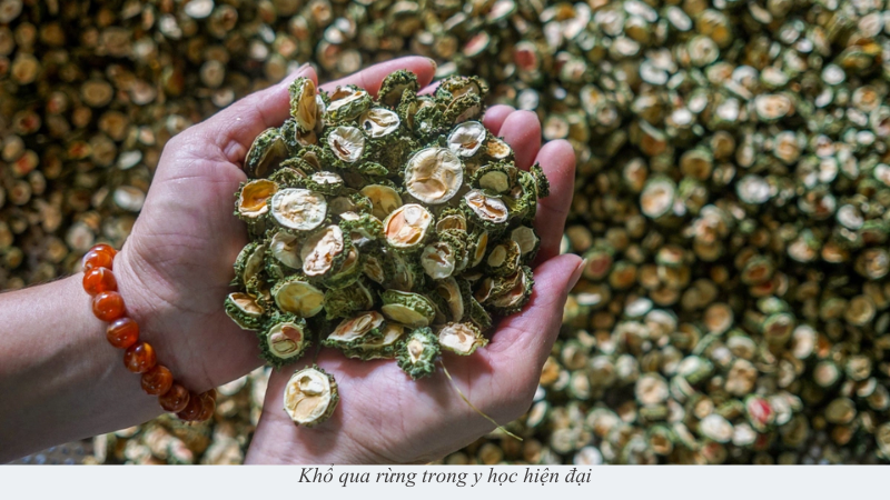 Khổ qua rừng