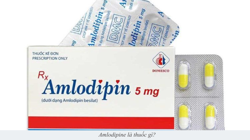 Amlodipine