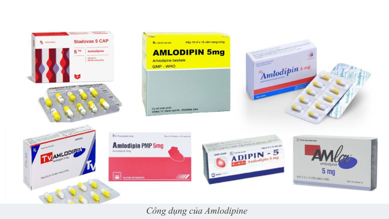 Amlodipine