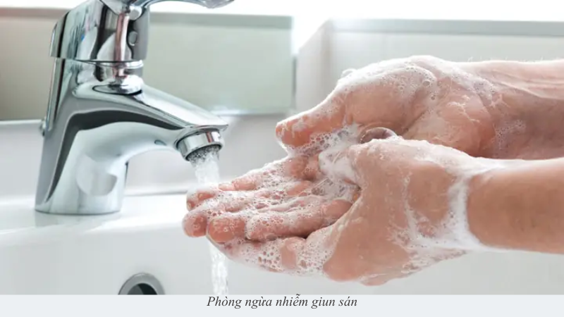 Nhiễm giun sán