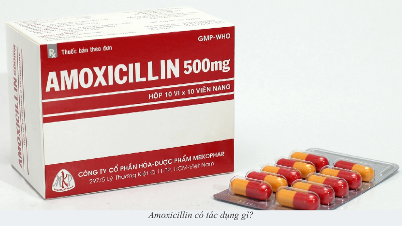 Amoxicillin