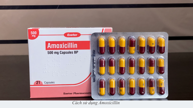 Amoxicillin