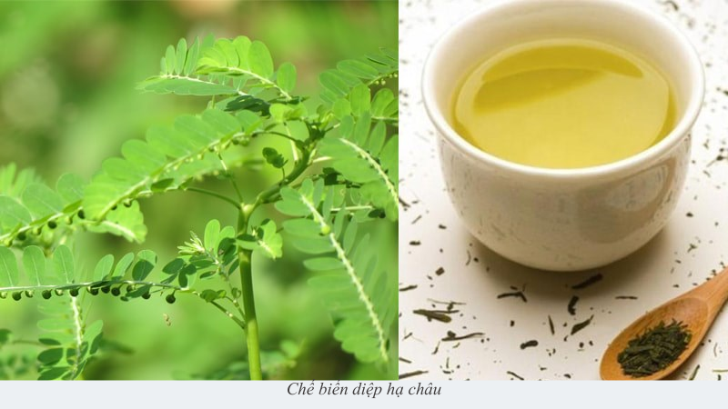 Diệp hạ châu
