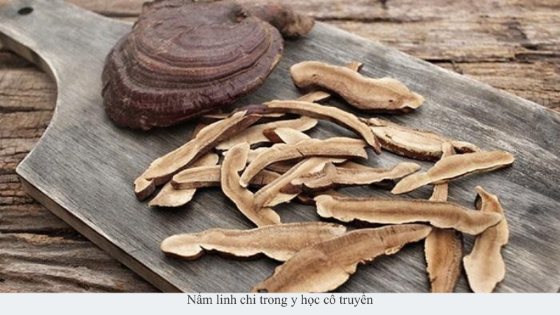 nấm linh chi